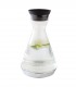 Glass cooling carafe