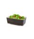 Square salad bowl GN 1/4 H 9 cm two tones dark oak and cream color